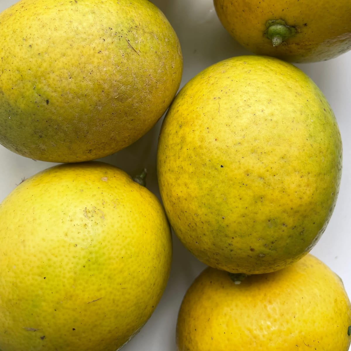 Seasonal Spotlight - Lemons
