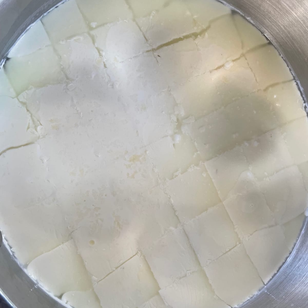 Rennet Cheese - Haloumi & Ricotta