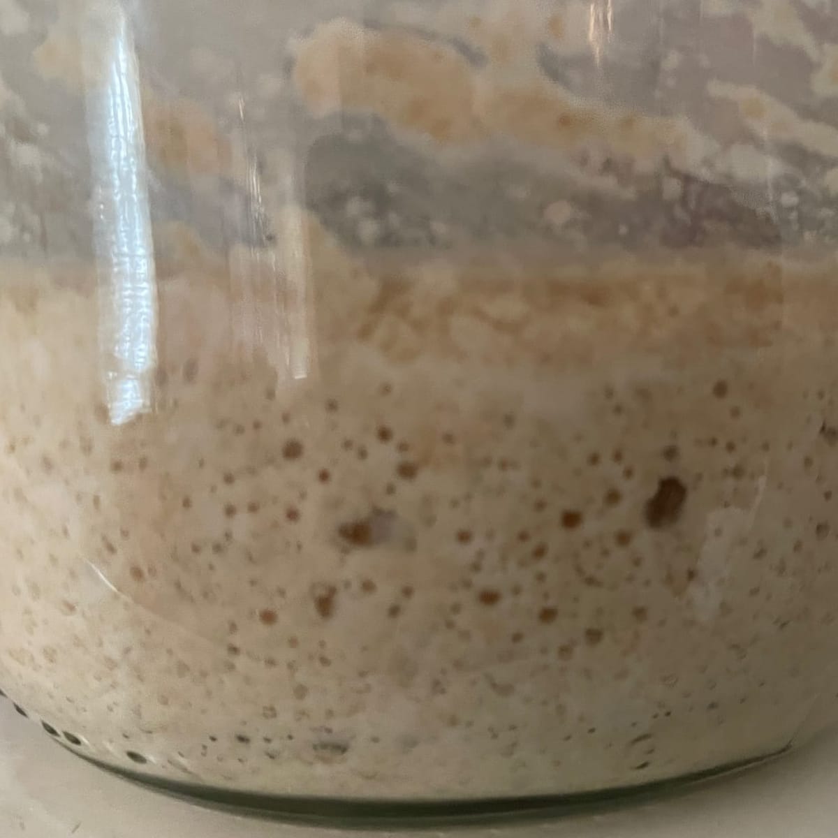 Sourdough Starter