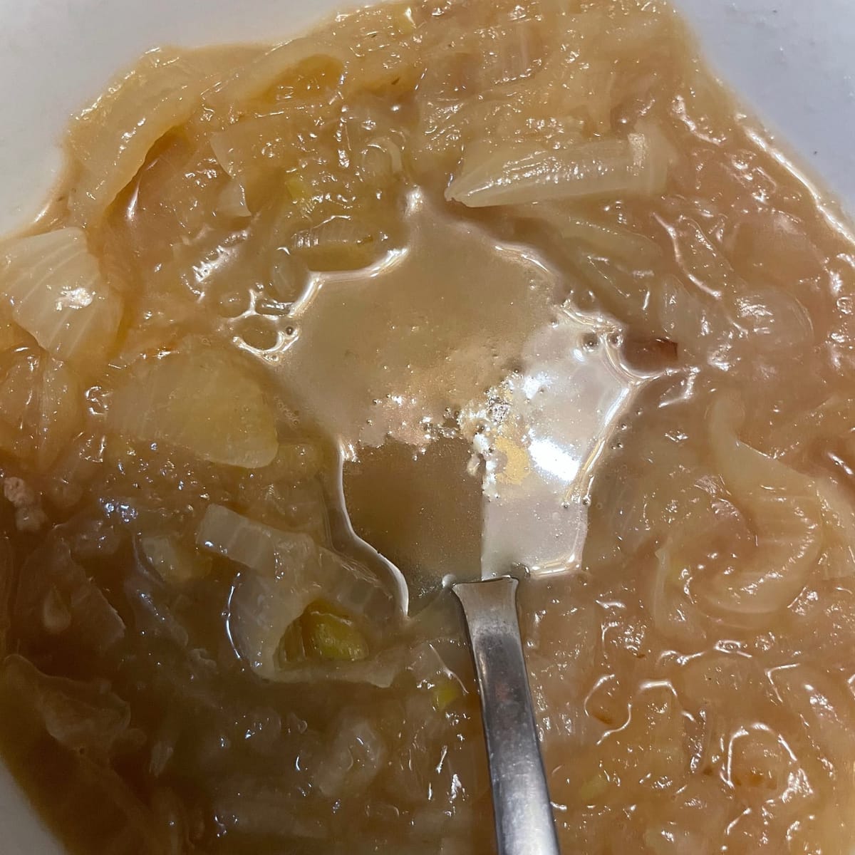 Caramelized Onion Soup