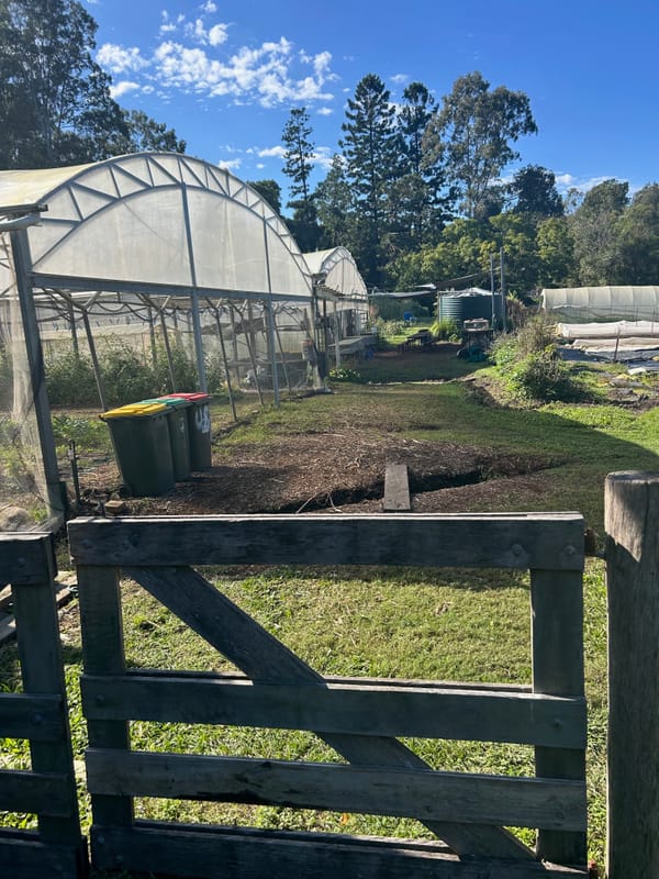 Neighbourhood Farm